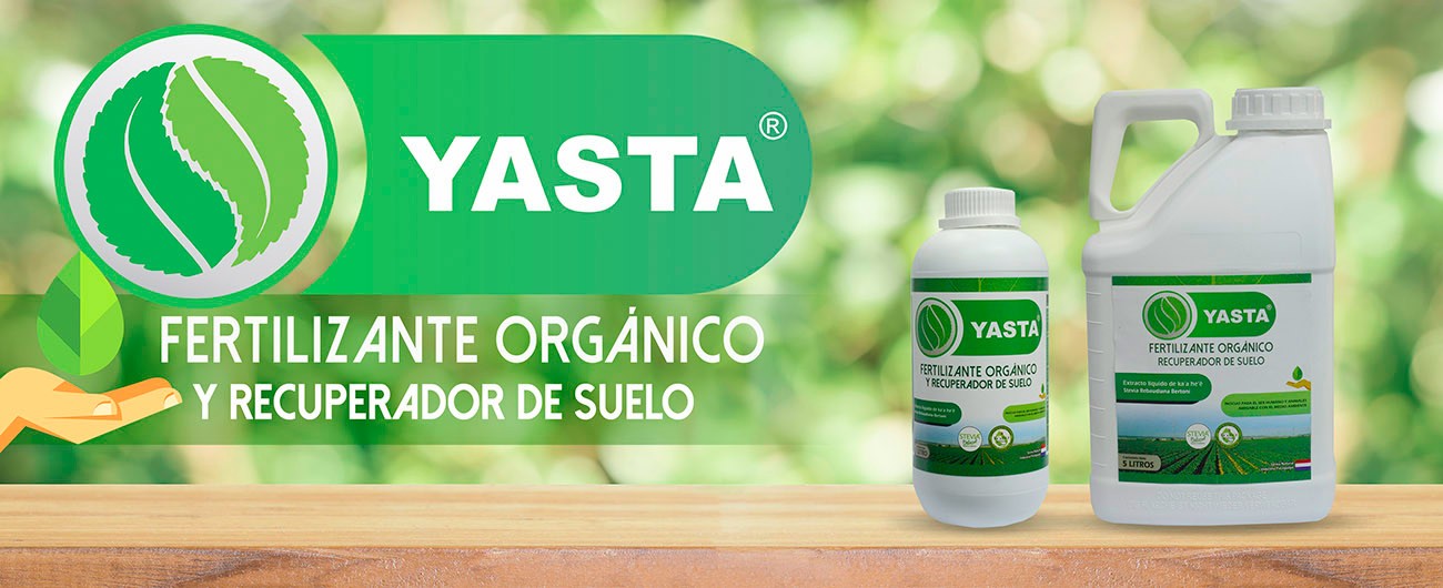 home_yasta